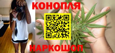 apvp Партизанск