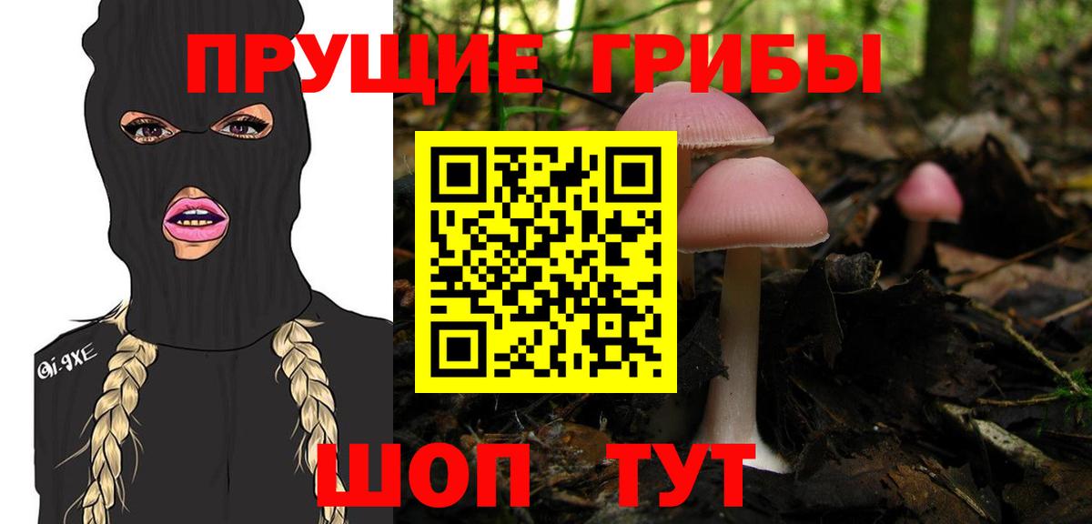 Псилоцибиновые грибы прущие грибы  Вход с VPN  Скопин 